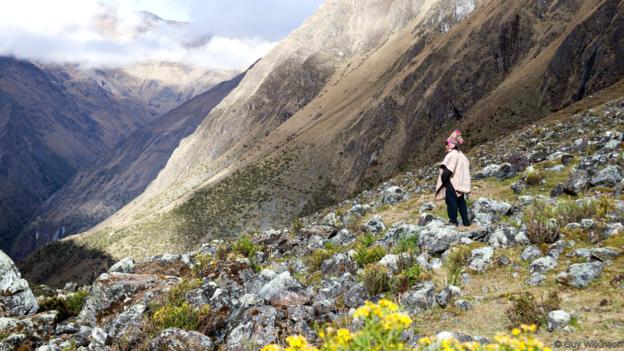Porters on the Inca Trail