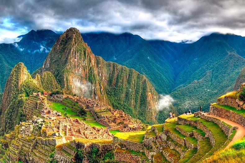 What Is The Difference Between Llamas and Alpacas? - Journey Machu Picchu