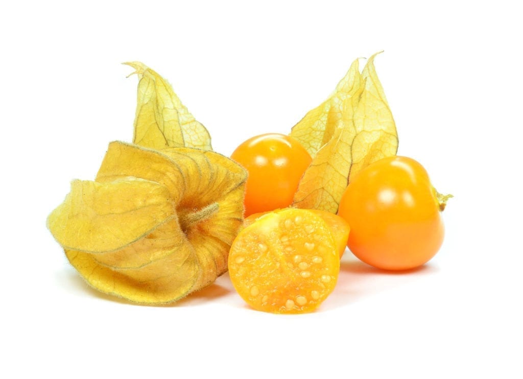 Cape Gooseberry